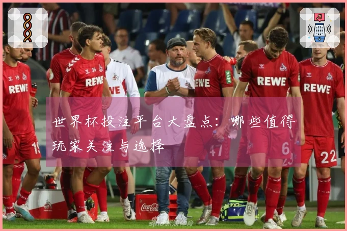 世界杯投注平台大盘点：哪些值得玩家关注与选择