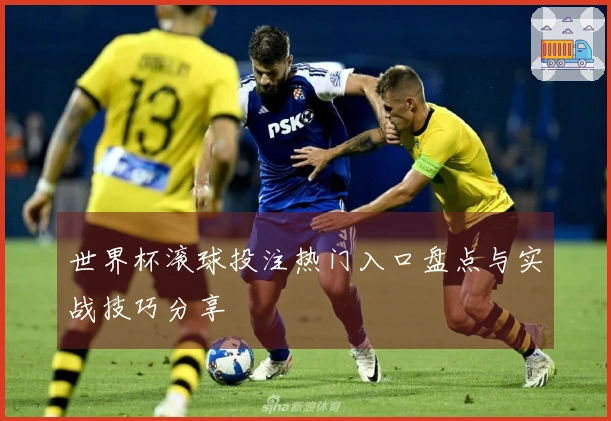世界杯滚球投注热门入口盘点与实战技巧分享