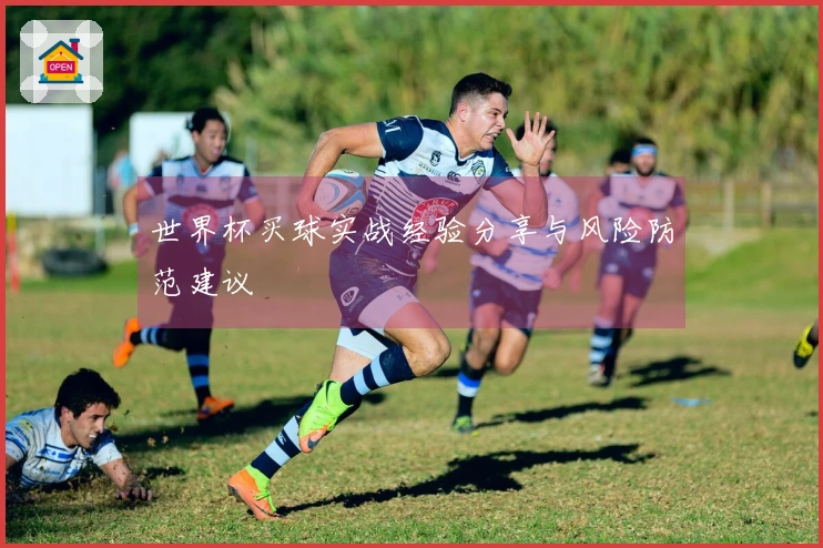 世界杯买球实战经验分享与风险防范建议