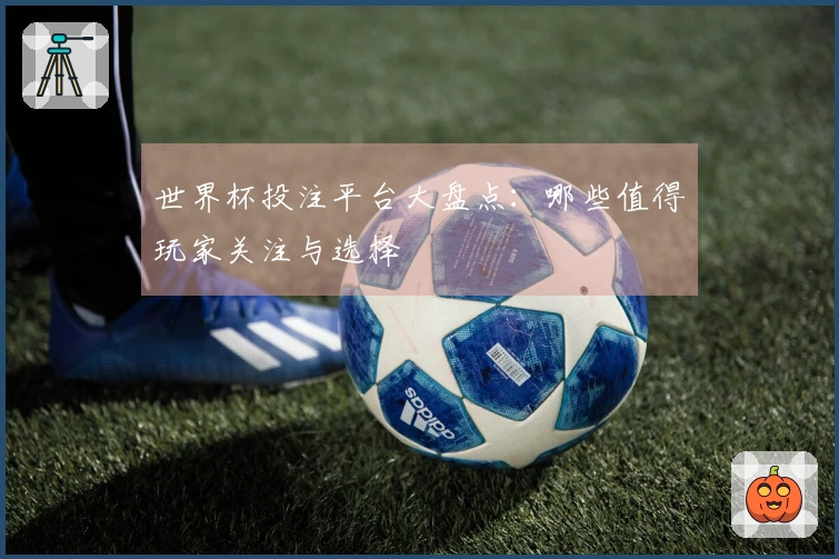 世界杯投注平台大盘点：哪些值得玩家关注与选择
