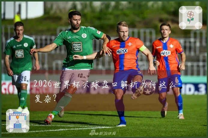 2026世界杯买球盘口解析为何这么复杂？