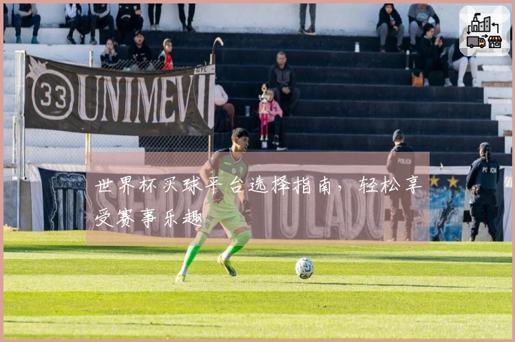 世界杯买球平台选择指南，轻松享受赛事乐趣